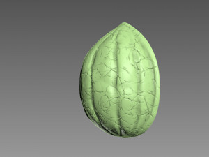 Nut Shell Modelo de impresión 3D