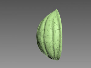 Nut Shell Modelo de impresión 3D