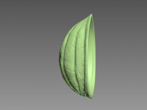 Nut Shell Modelo de impresión 3D