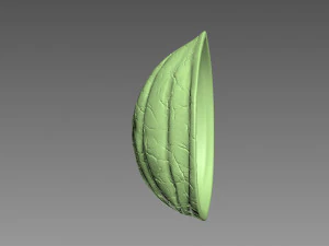 Guscio di noce Modello di stampa 3D