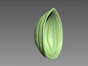 Guscio di noce Modello di stampa 3D