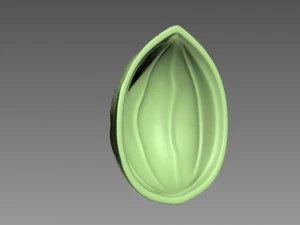 Guscio di noce Modello di stampa 3D