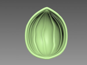 Nut Shell Modelo de impresión 3D