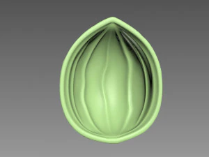 Guscio di noce Modello di stampa 3D