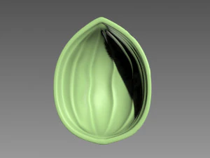 Guscio di noce Modello di stampa 3D