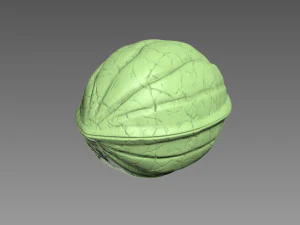 Guscio di noce Modello di stampa 3D