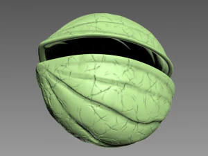 Guscio di noce Modello di stampa 3D