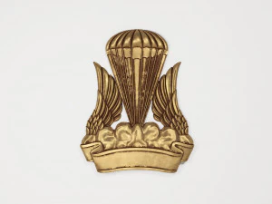 Символ эмблемы 3D Модель