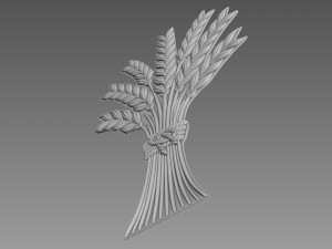Spikelets of wheat Relief Modèle 3D
