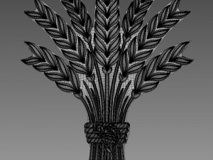 Spikelets of wheat Relief Modèle 3D