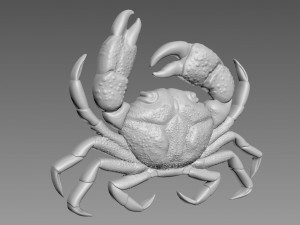Crab Relief Model 3D