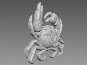 Crab Relief Model 3D