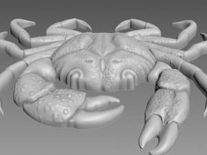 Crab Relief Model 3D