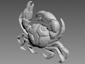 Crab Relief Model 3D