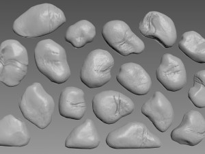 Pebbles Rock Relief 3D Model