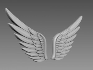 Wings relief 3D-Modell