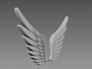 Wings relief 3D-Modell