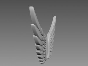 Wings relief 3D-Modell