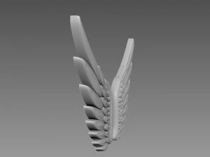 Wings relief 3D Model