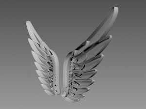 Wings relief 3D-Modell