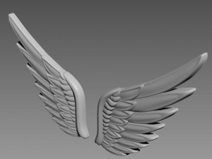 Wings relief 3D-Modell