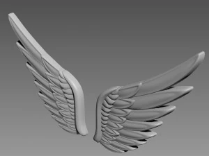 Wings relief 3D Model