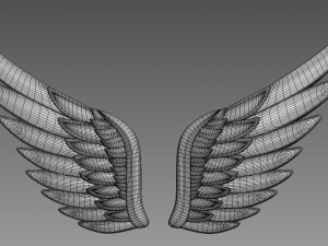 Wings relief 3D-Modell