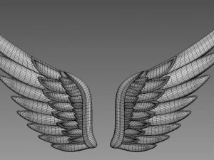 Wings relief 3D Model