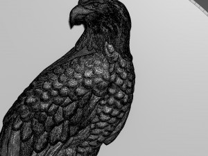 Eagle Bas-relief 3D Модель