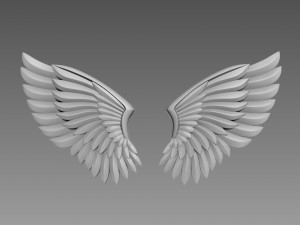 Wings relief 3D Model