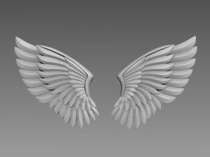 Rilievo delle ali Modello 3D