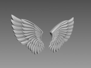 Wings relief Modèle 3D