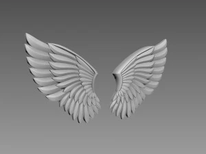 Wings relief 3D Model