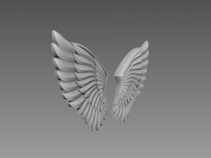 Wings relief Modèle 3D