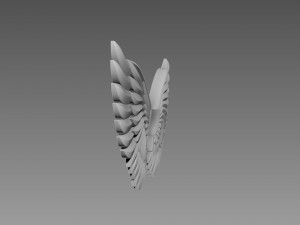 Wings relief Modèle 3D