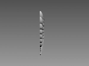 Wings relief Modèle 3D