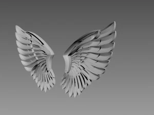 Wings relief 3D Model