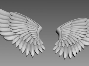 Wings relief Modèle 3D