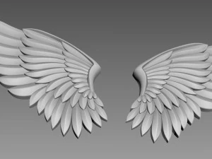 Wings relief 3D Model