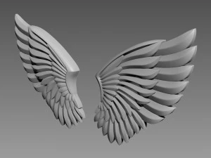 Wings relief 3D Model