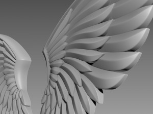 Wings relief Modèle 3D