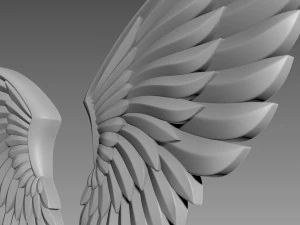 Wings relief 3D Model