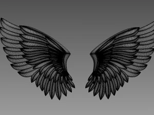 Wings relief 3D Model