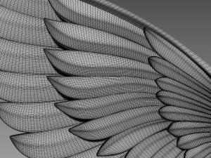 Wings relief Modèle 3D