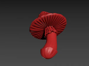 Fly Agaric 3D Print Model