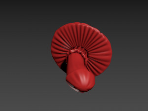 Fly Agaric 3D Принт Модель
