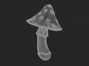 Fly Agaric 3D Print Model
