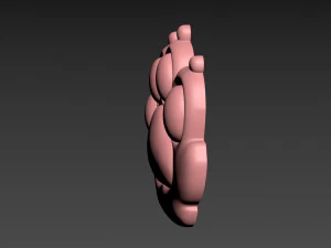 Cat Paw 3D Print Model