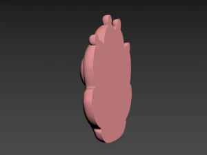 Cat Paw 3D Print Model