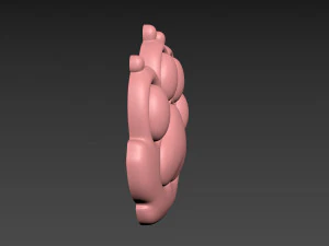 Cat Paw 3D Print Model